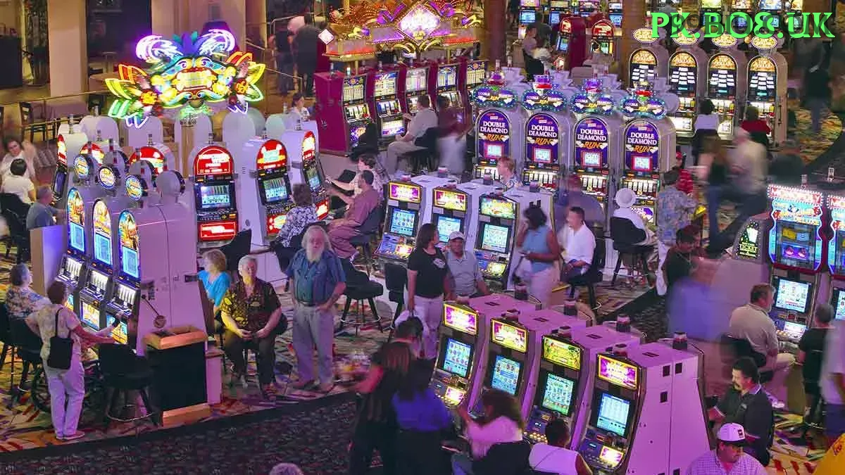 Casino Ao Vivo 99hi